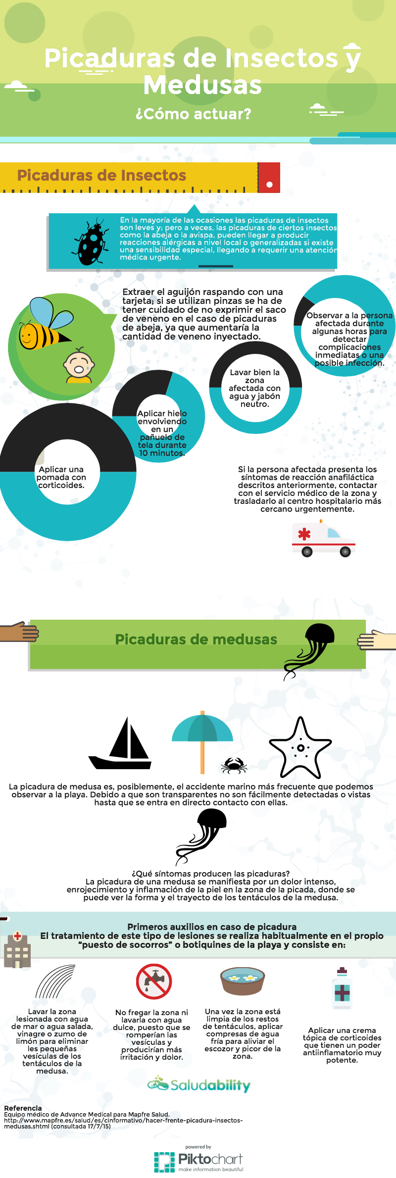 Infografía medusas