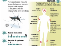 Infografía Virus Zikia