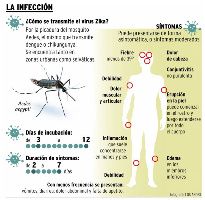 Infografía Virus Zikia